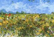 Vincent Van Gogh Green Vineyard Germany oil painting reproduction